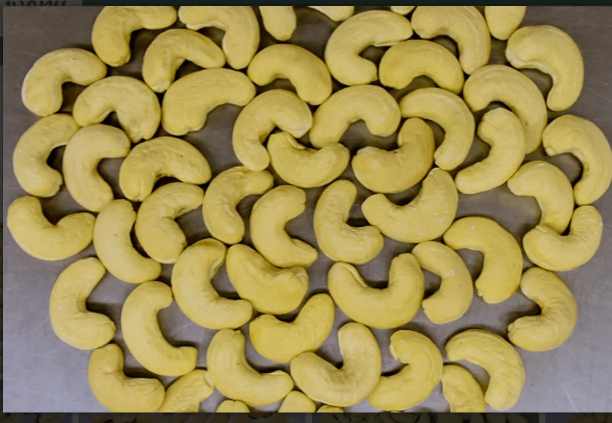 Ivory Cashew Nuts (ICN) logo