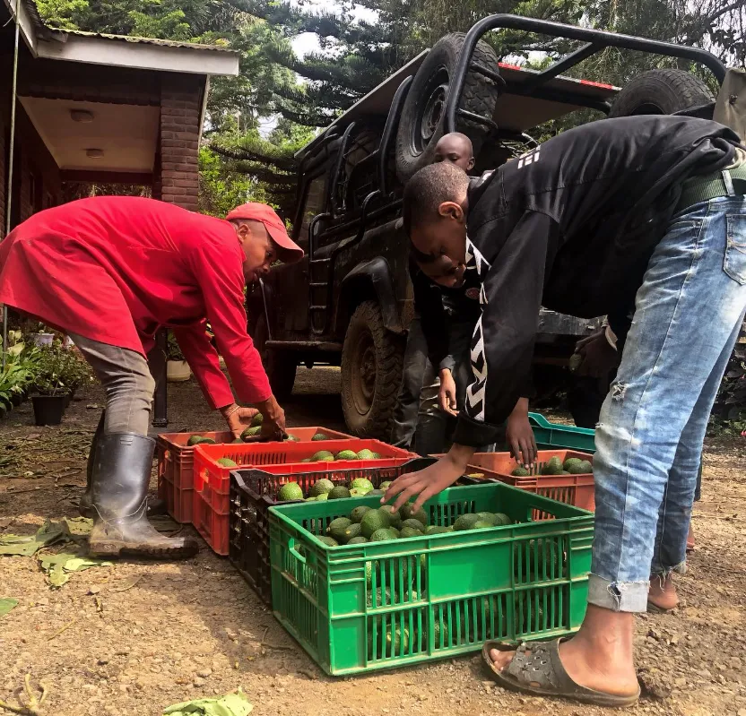 Avomeru group Ltd photo 4