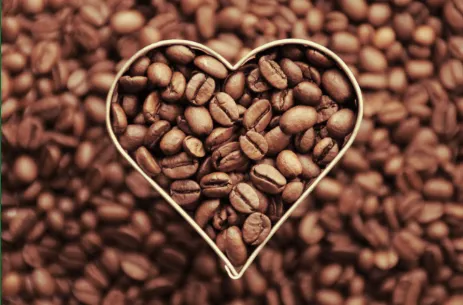 Kigasali Coffee Company Ltd banner