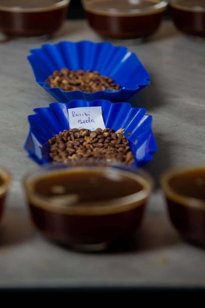 Kigasali Coffee Company Ltd photo 5