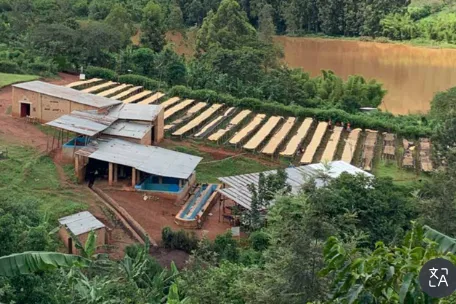 Kigasali Coffee Company Ltd photo 7