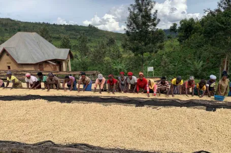 Kigasali Coffee Company Ltd photo 8