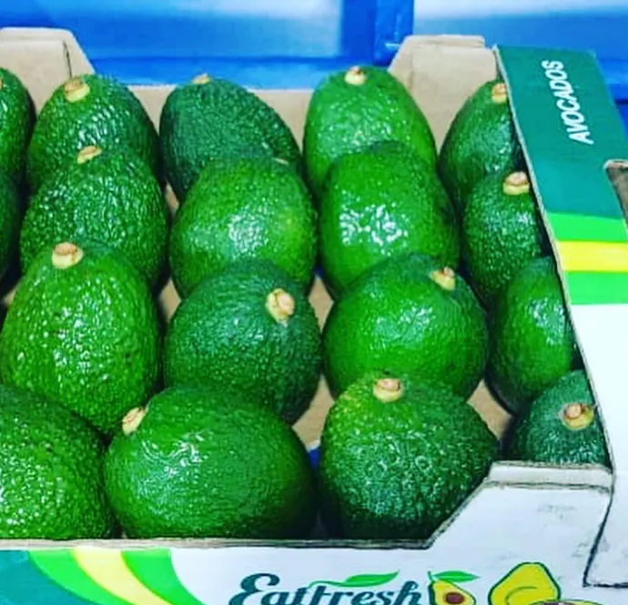 EatFresh photo 4