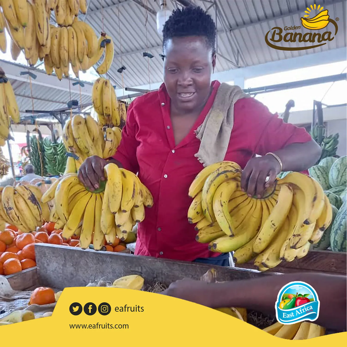 East Africa Fruits Co photo 2