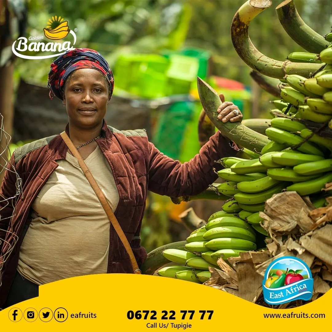 East Africa Fruits Co photo 5