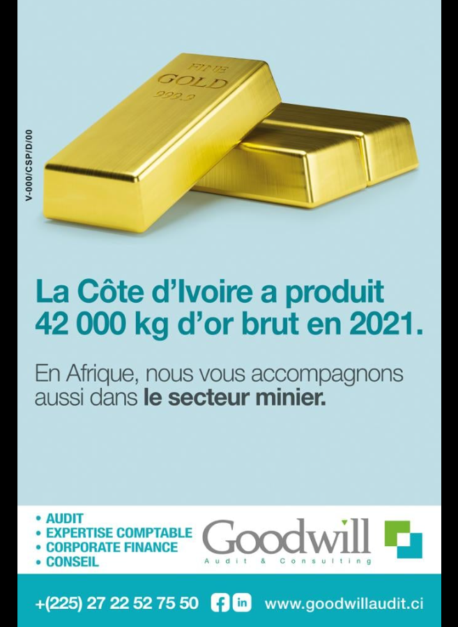 Goodwill Audit and Consulting photo 1