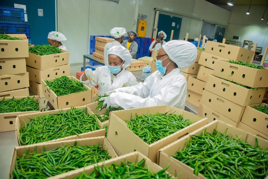 Afri-Foods Ltd photo 1