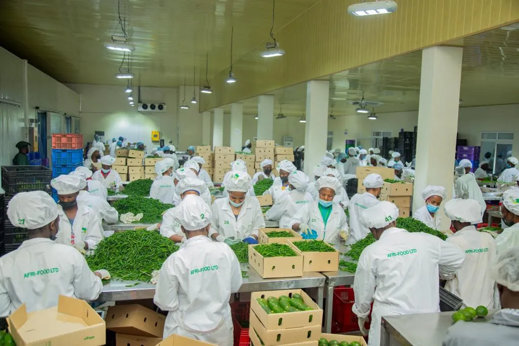 Afri-Foods Ltd photo 2