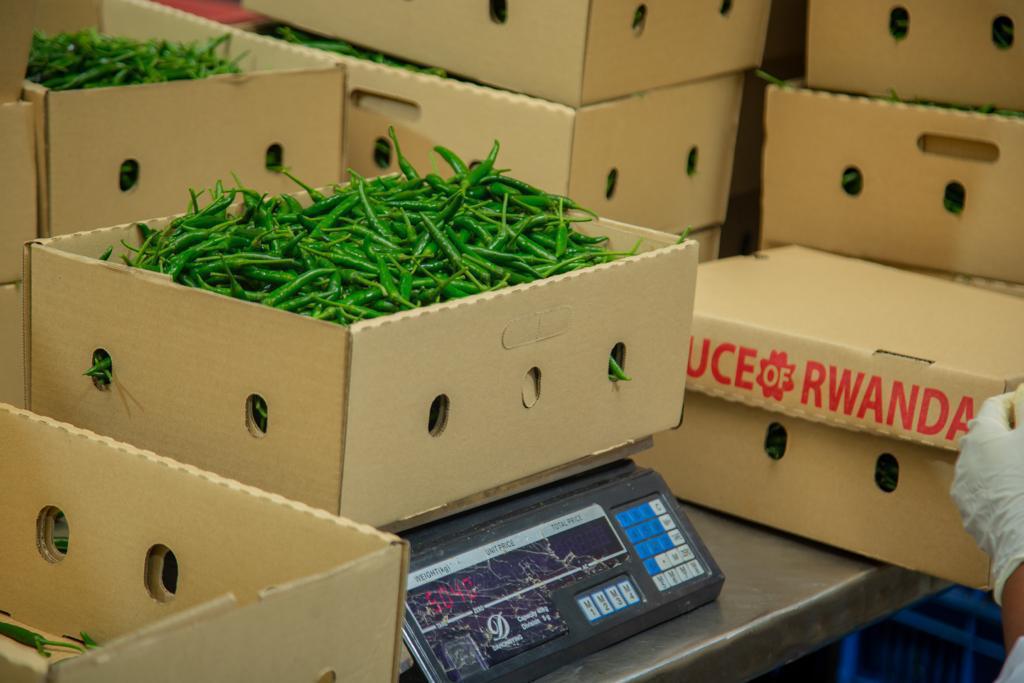 Afri-Foods Ltd photo 3