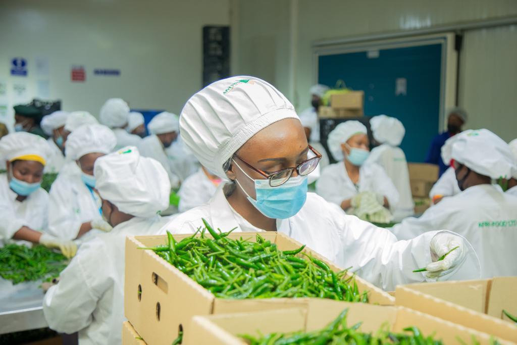 Afri-Foods Ltd logo