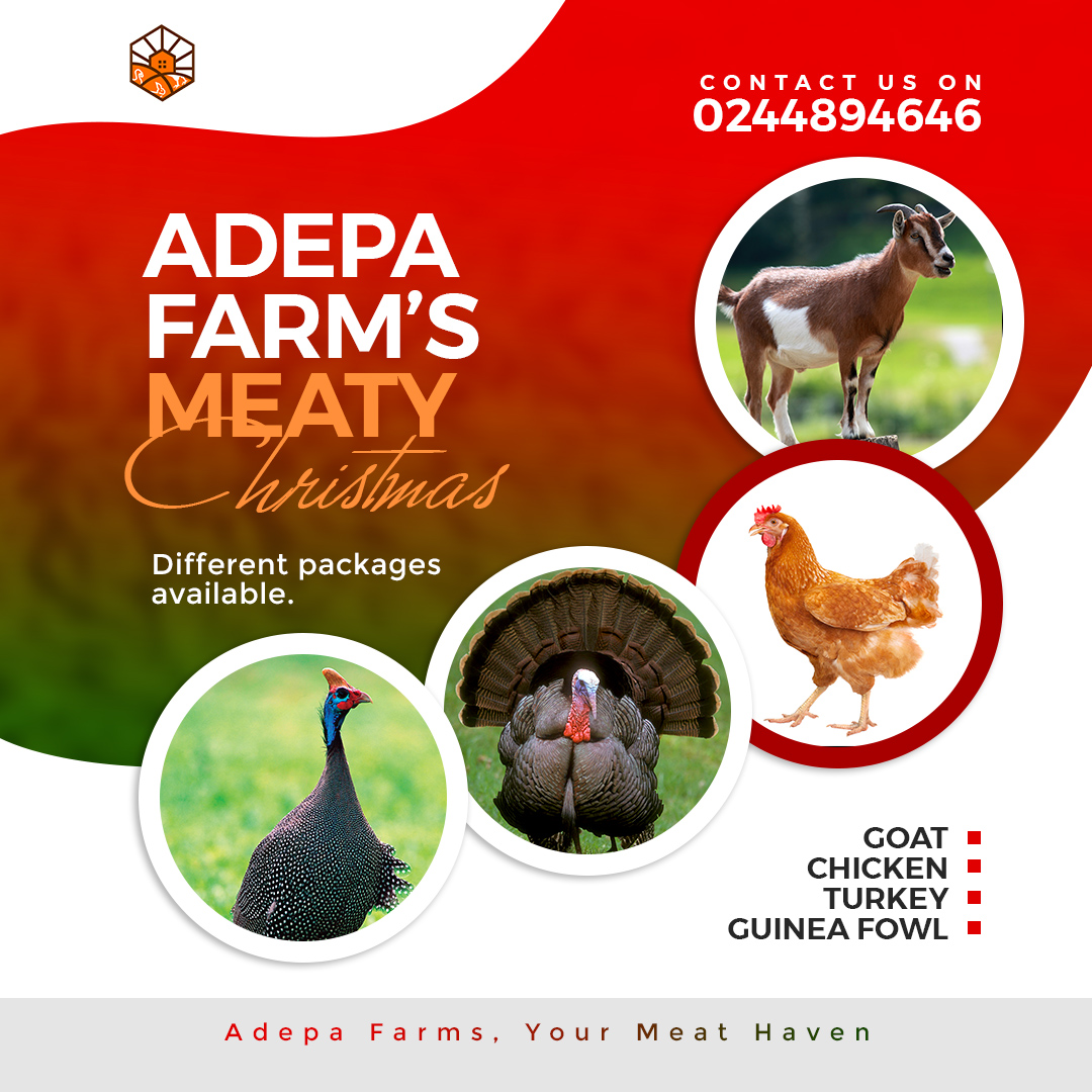 Papa Adepa Farms photo 1