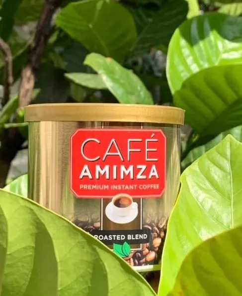 Amir Hamza (T) Ltd. banner