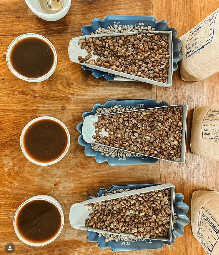 Mondul Coffee Estates Ltd photo 1