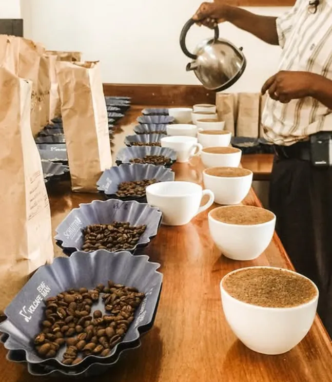 Mondul Coffee Estates Ltd photo 2