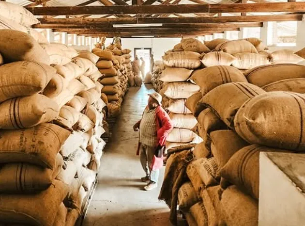 Mondul Coffee Estates Ltd photo 3