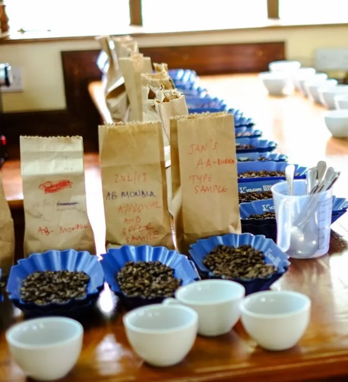 Mondul Coffee Estates Ltd photo 5