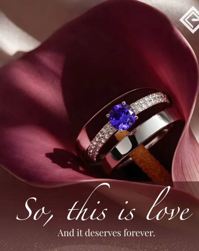 The Tanzanite Experience logo