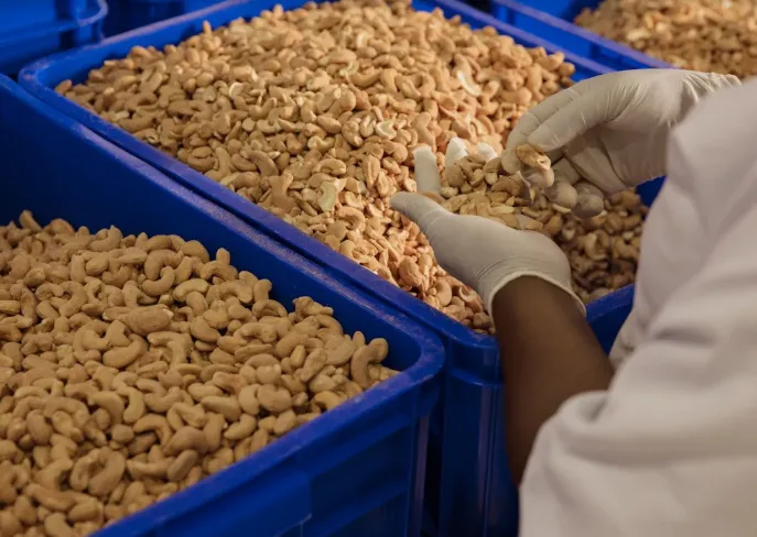 YYTZ Agro-Processing photo 3