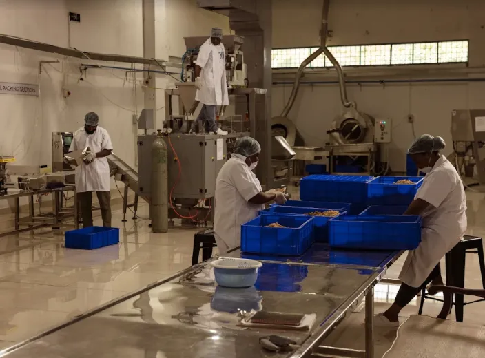 YYTZ Agro-Processing photo 4