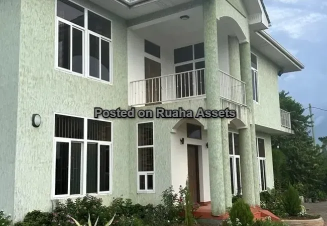 Ruaha Assets Ltd photo 4