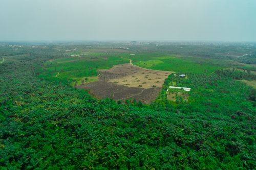 Land Republic photo 1
