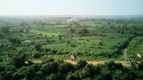 Land Republic photo 6