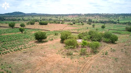 Land Republic photo 8