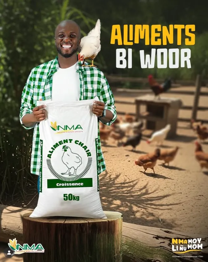 Nouvelle Minoterie Africaine (NMA Sanders) photo 5