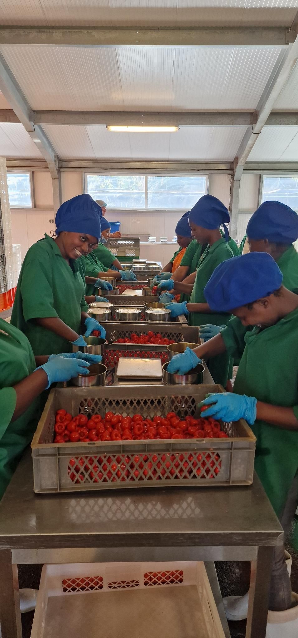 African Vegetables Company photo 5