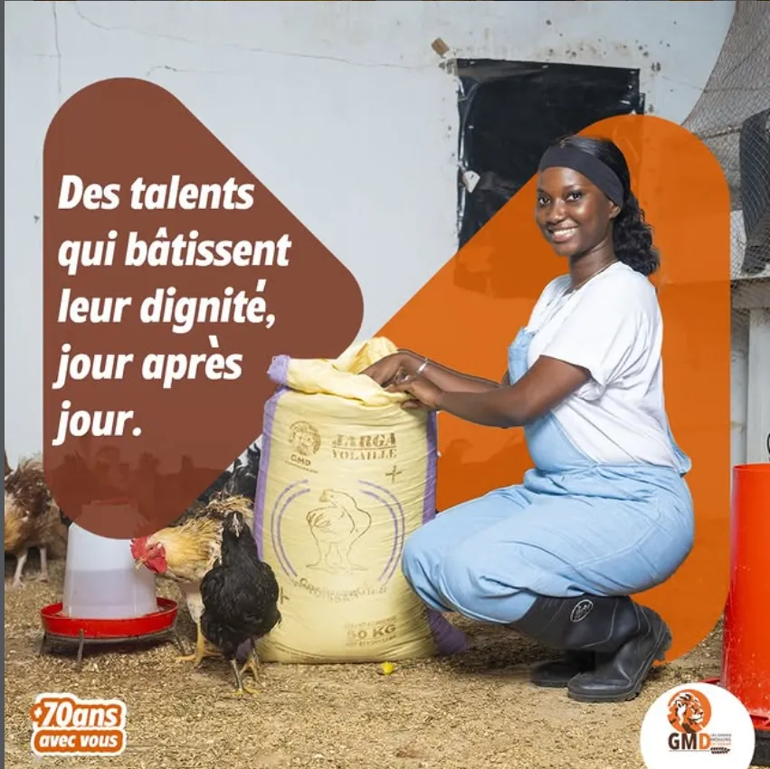 Les Grands Moulins de Dakar (GMD) photo 6