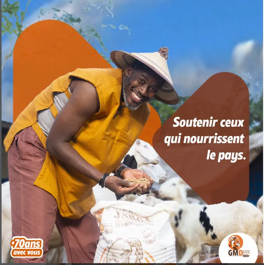 Les Grands Moulins de Dakar (GMD) photo 7