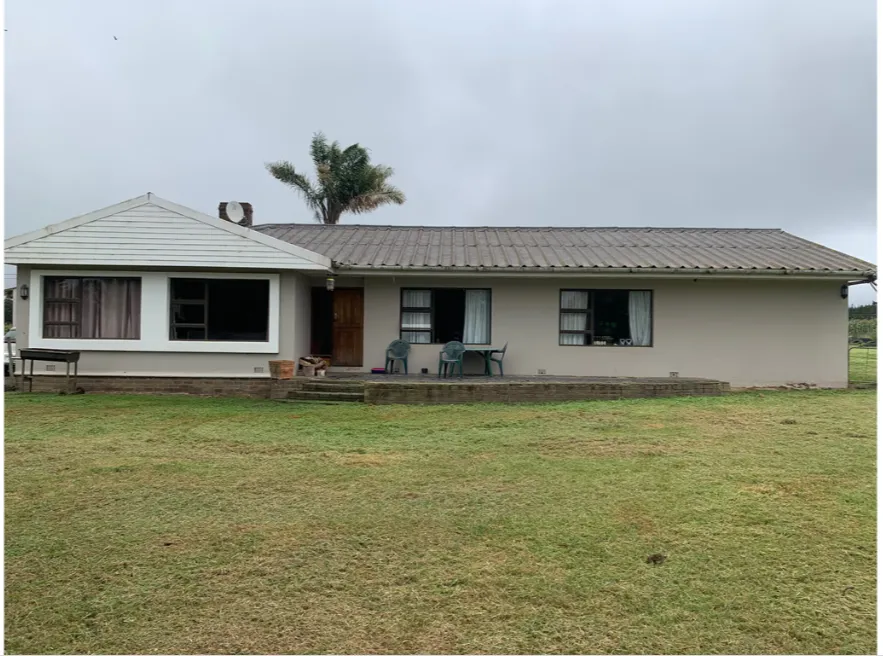 RealNet Properties photo 6