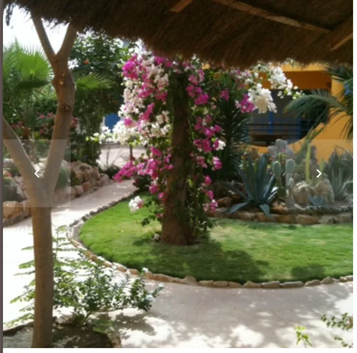 Espace Immobilier Sénégal photo 5
