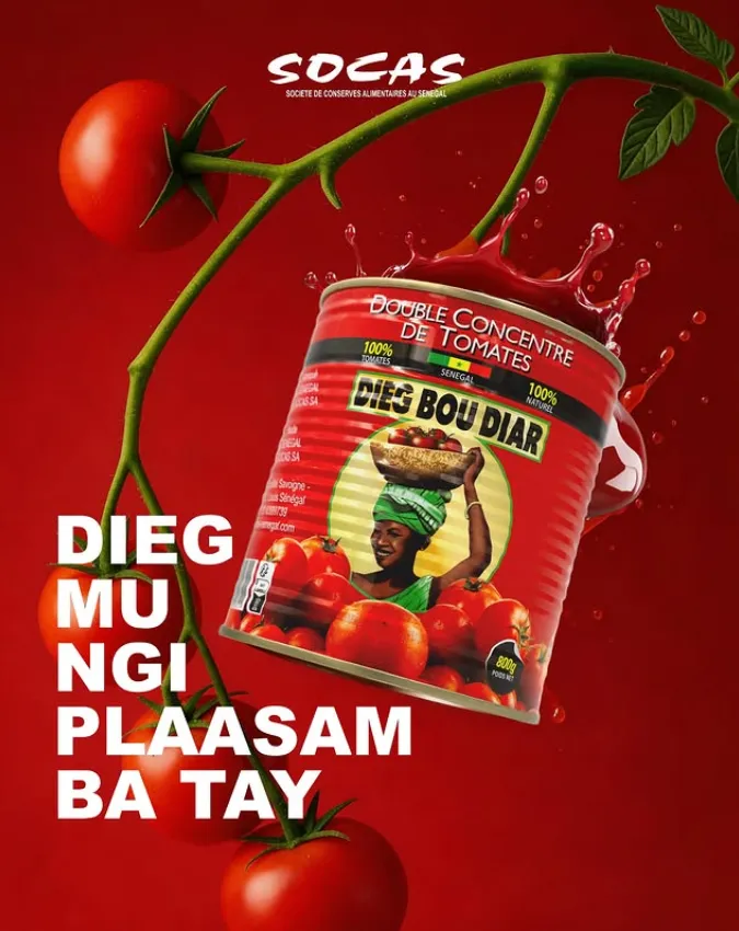 SOCAS SA photo 1
