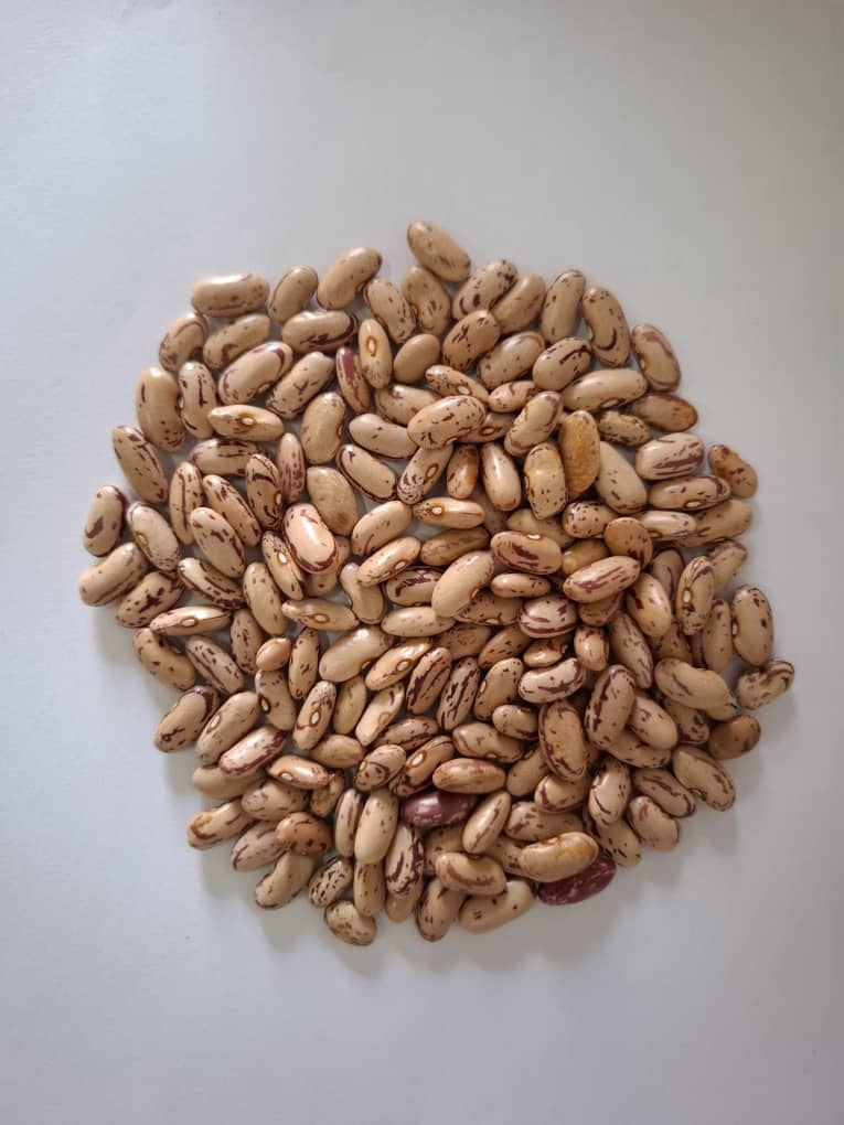 Tanko Group Limited Tanzania photo 3
