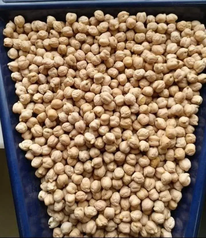 Tanko Group Limited Tanzania photo 8