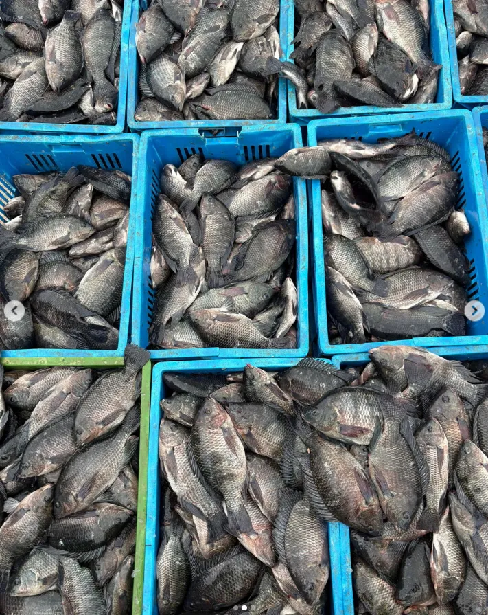 Kivu Choice Ltd photo 5