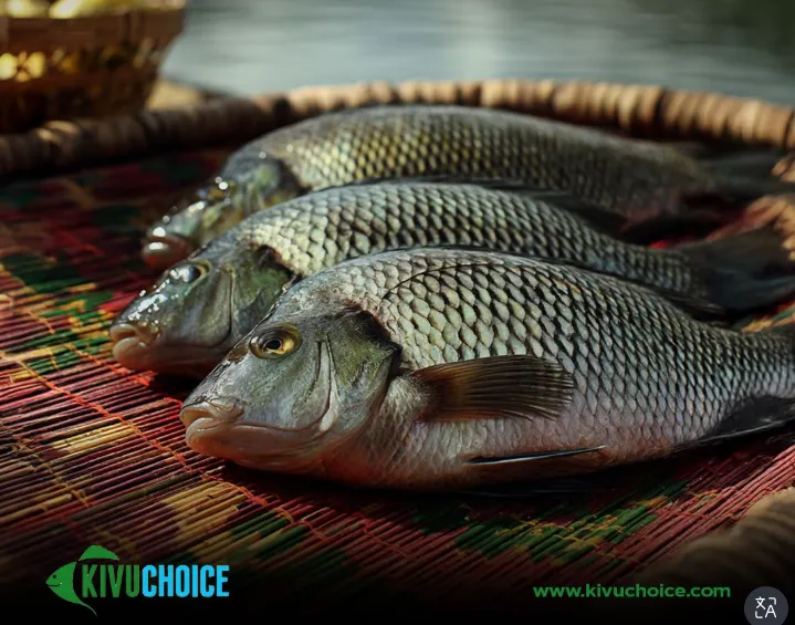 Kivu Choice Ltd photo 8