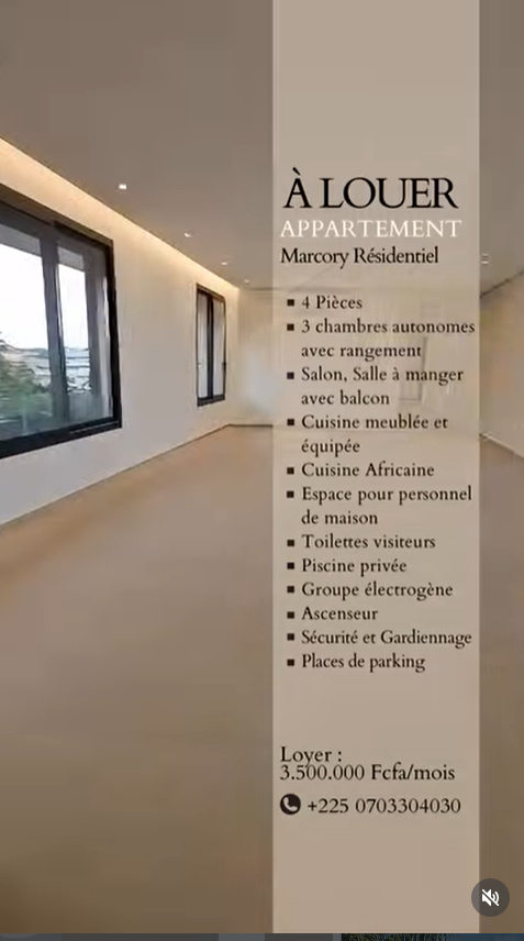 Avenue Immobilier banner