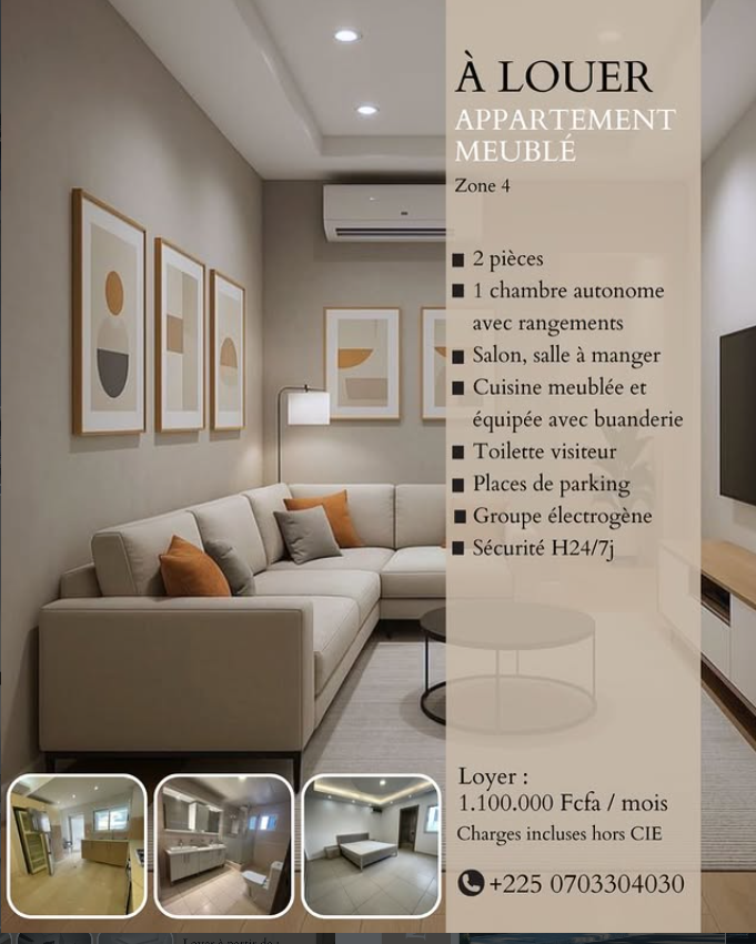 Avenue Immobilier photo 1