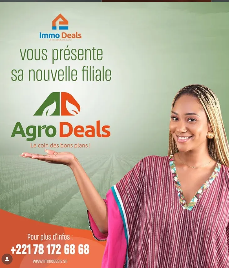 Immo Deals photo 5