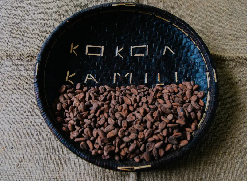 Kokoa Kamili photo 2