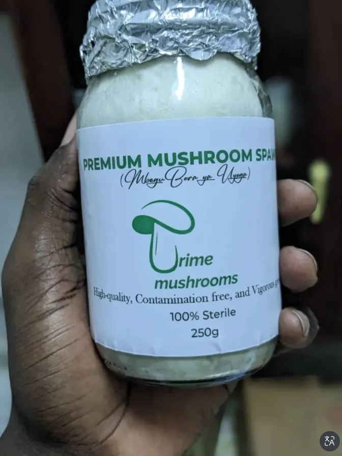 Prime Mushrooms Tanzania banner